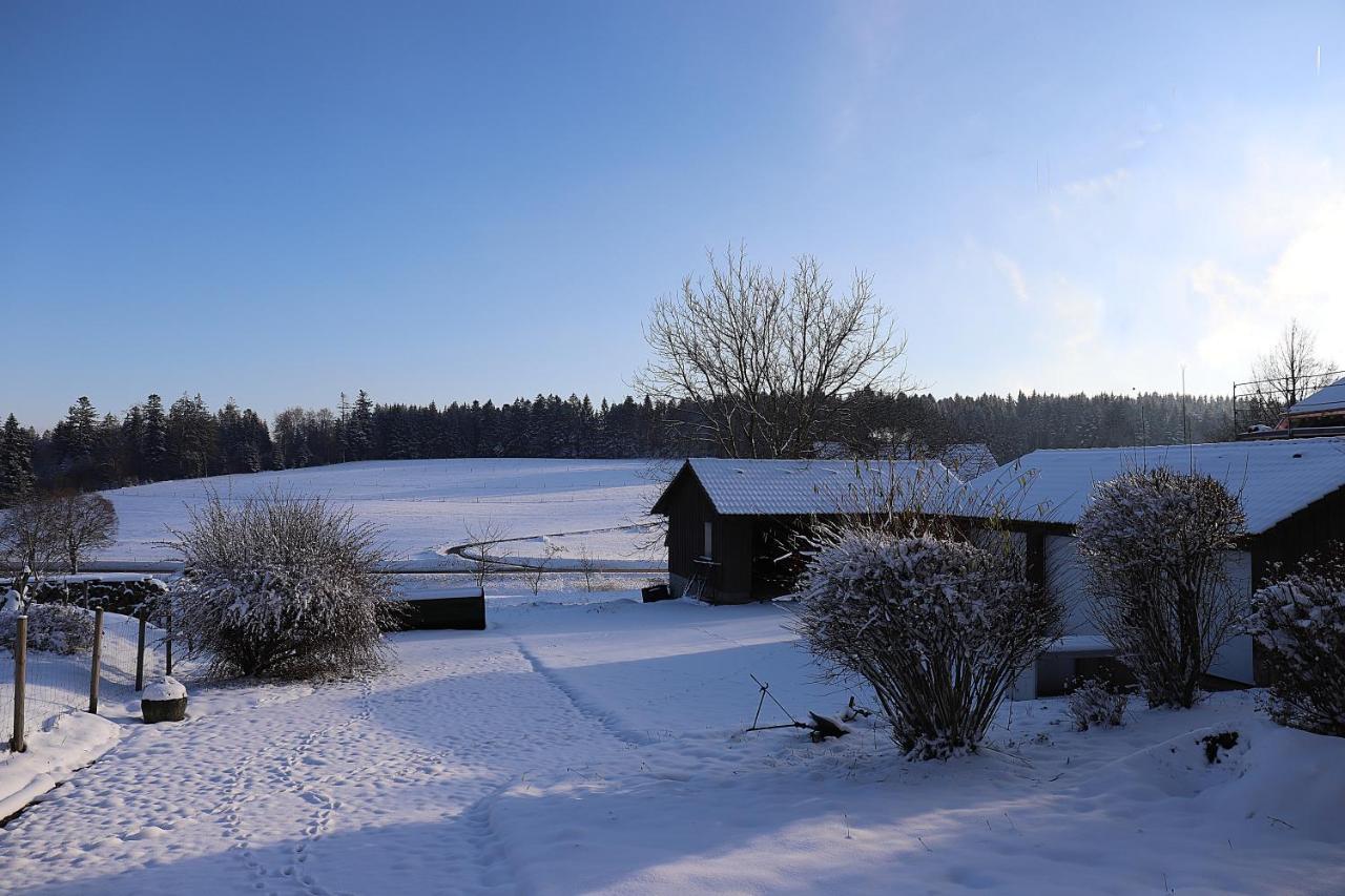 Gaestehaus Willaringen Rickenbach  Dış mekan fotoğraf