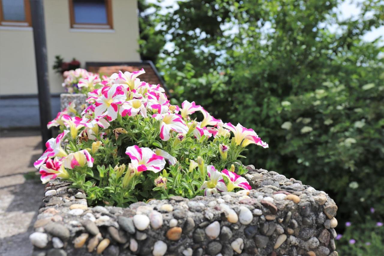 Gaestehaus Willaringen Rickenbach  Dış mekan fotoğraf