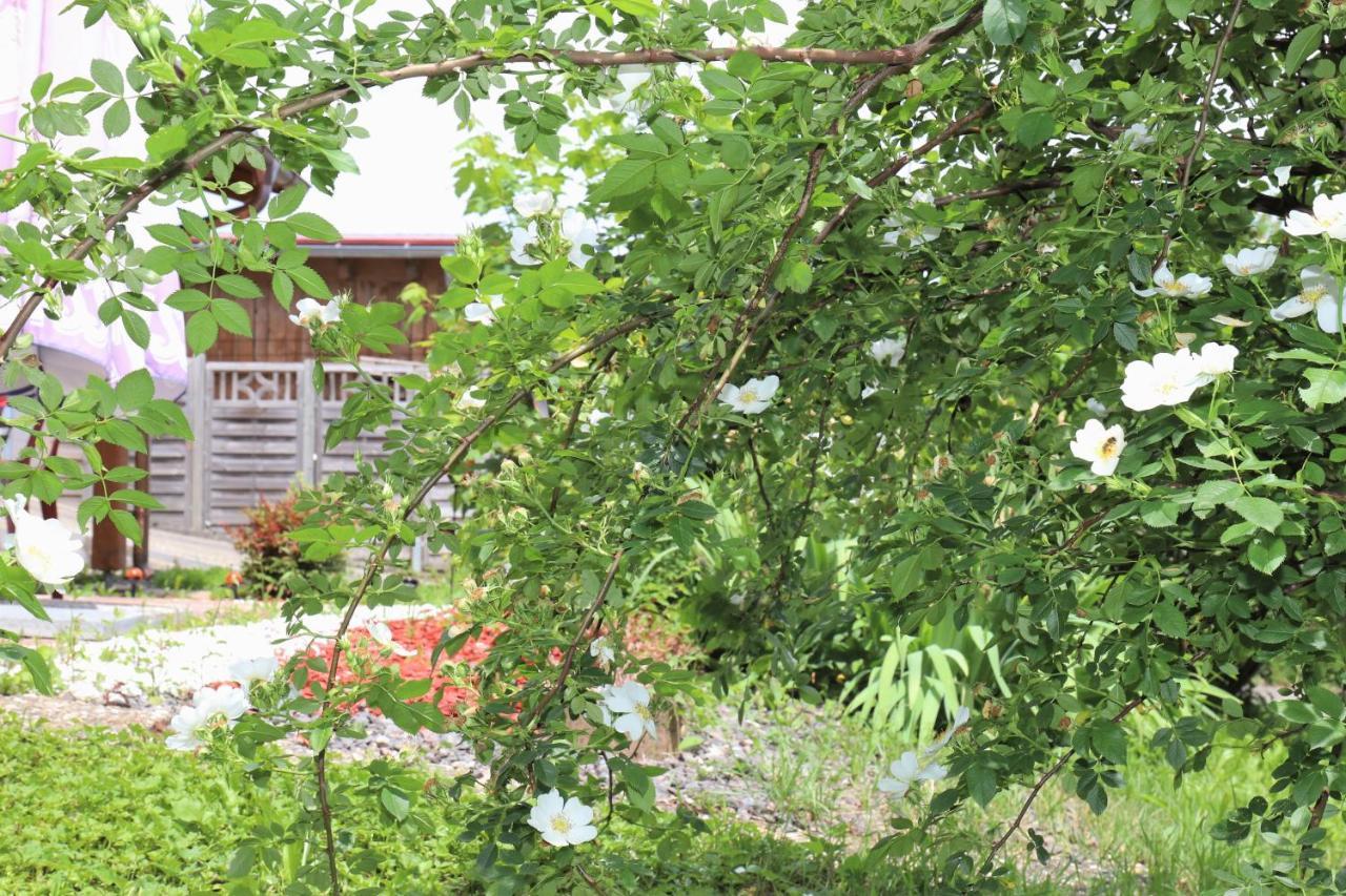 Gaestehaus Willaringen Rickenbach  Dış mekan fotoğraf